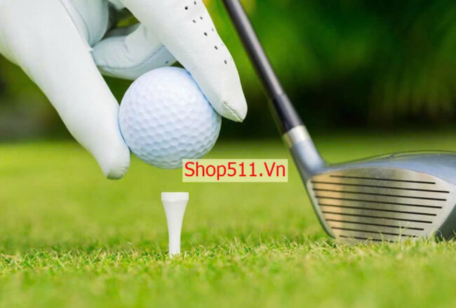 Tee bóng golf Shop511